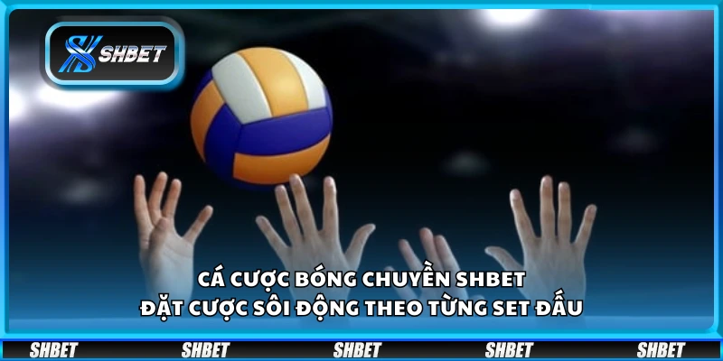 Cá cược bóng chuyền Shbet – Đặt cược sôi động theo từng set đấu