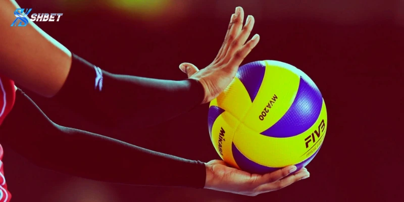 Vài nét về cá cược bóng chuyền Shbet