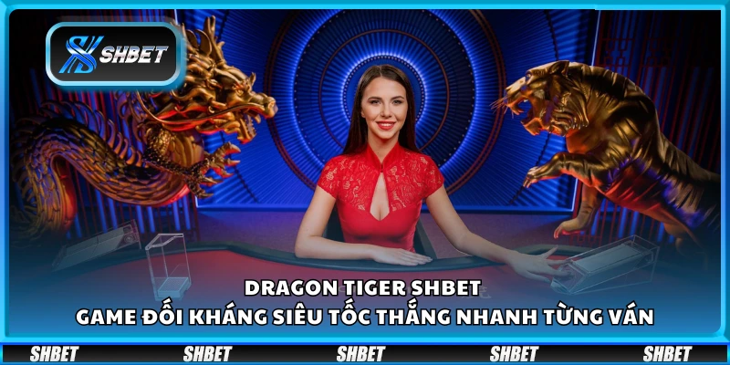 Dragon Tiger Shbet – Game đối kháng siêu tốc thắng nhanh từng ván