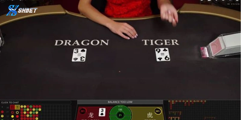 Các mẹo chơi Dragon Tiger dễ thắng