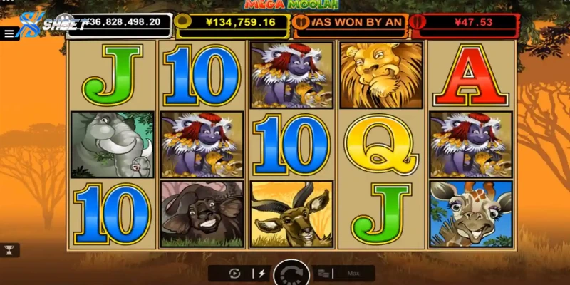 Tìm hiểu chung về Mega Moolah Shbet