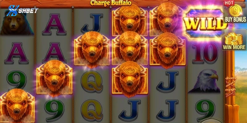 Chi tiết luật chơi và tỷ lệ trả thưởng Slot Charge Buffalo Shbet
