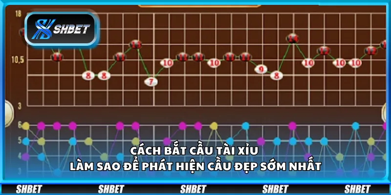Cách bắt cầu Tài Xỉu – Làm sao để phát hiện cầu đẹp sớm nhất
